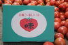 【今が旬】味が濃い！高糖度フルーツトマト"木瀬恋味トマト"