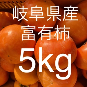 なくなり次第終了‼️ 岐阜県産富有柿　5キロ