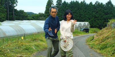 1年に1回だけ発送。高知の限界集落で究極の生姜を育てる夫婦のお話