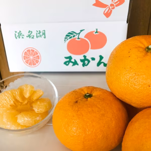 【甘夏みかん・大玉L・ 2L・３L・4L ミックス】農薬不使用♪