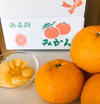 【甘夏みかん・大玉L・ 2L・３L・4L ミックス】農薬不使用♪