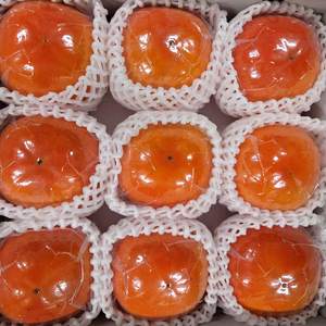 国城観光農園の富有柿(送料無料)3Ｌサイズ9個入り.真空包装