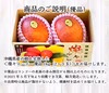 【樹上完熟】燦々マンゴー（沖縄県産）　優品1kg