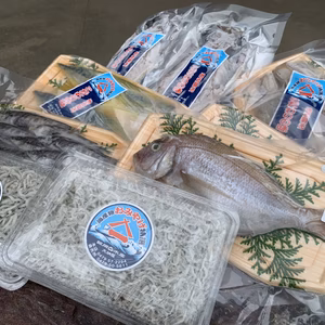 ★食べ比べ★シラス干2種と銚子産干物の全7種満点セット