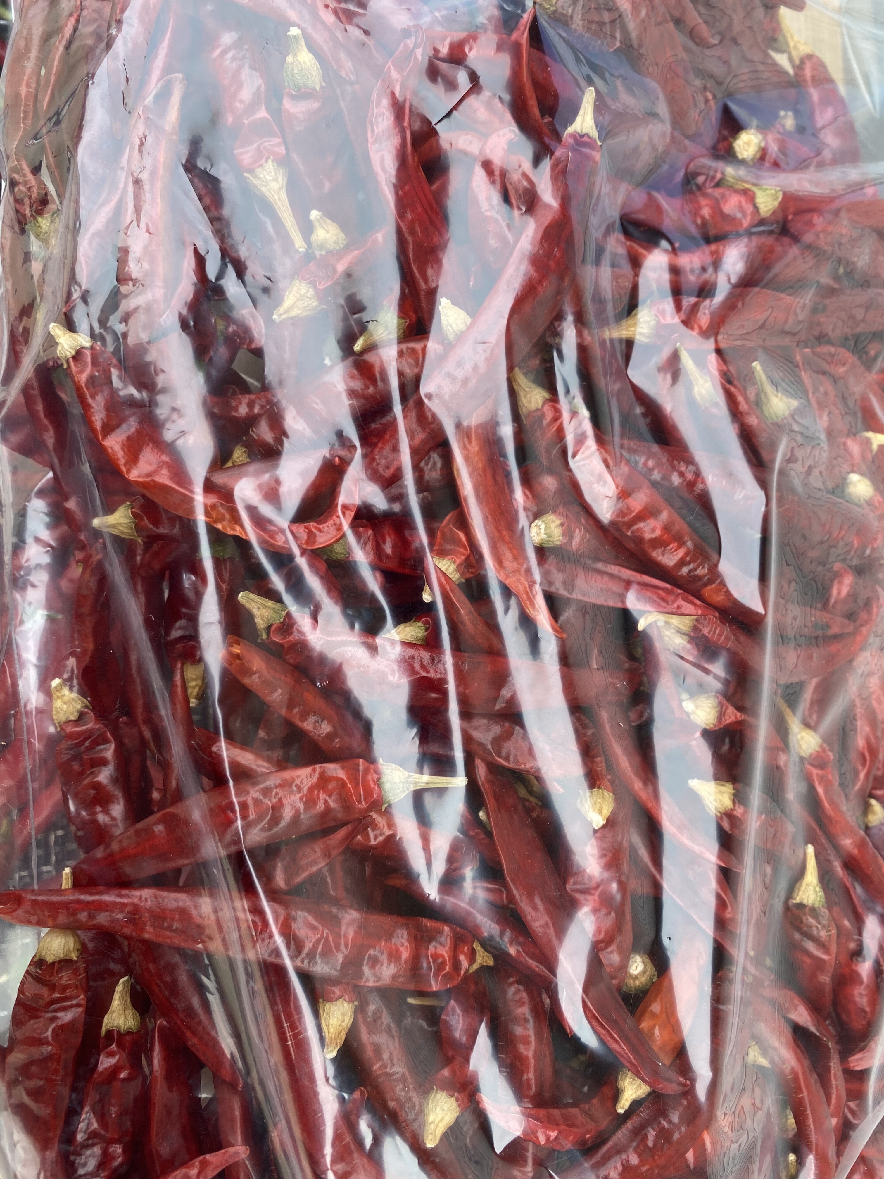 青唐辛子　ホットパラソルex １０キロ 油そば フラワー・ガーデニング 青唐辛子 ホットパラソルex 10キロ