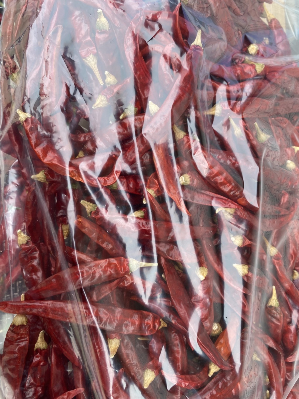 天日乾燥・赤唐辛子 ☆ホットパラソルEX 栽培期間中農薬不使用 ｜野菜