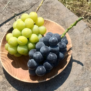 'シャインマスカット’と粒も取れちゃうほど完熟の”巨峰”詰め合わせ　秀品