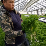 井本正勝 | 井本農園