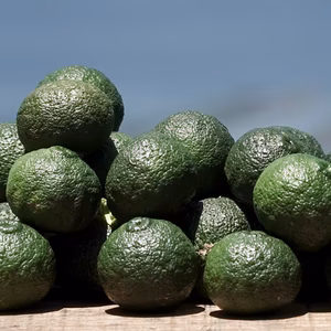 【薬味や香り付けに】青柚子【防腐剤・ワックス不使用】