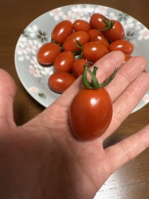 みんなの投稿の画像