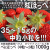 べにほっぺ中粒～小粒をたっぷり1000g【クール便対応】【ワケアリ】