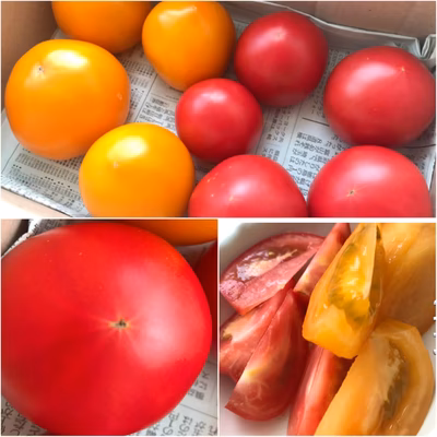 みんなの投稿の画像