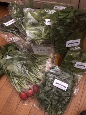 みんなの投稿の画像