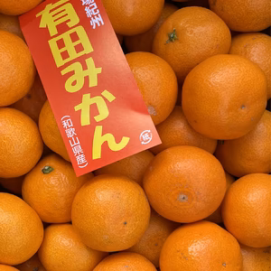 【訳あり】和歌山県産有田みかん 木成り完熟ちびたまみかん(箱込 約5kg)
