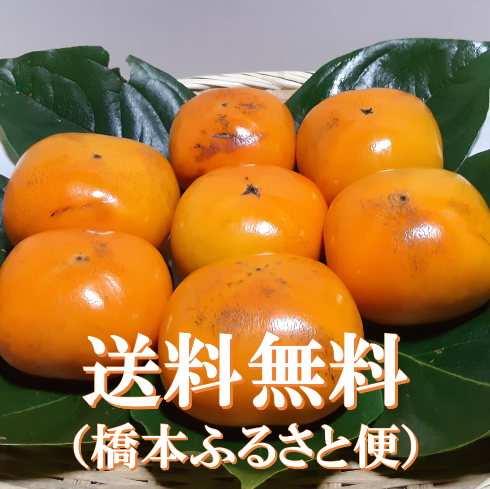 最大77％オフ！ 信州産 あいかの香り 家庭用 約3kg 9玉～12玉 産地直送 減農薬栽培 notimundo.com.ec