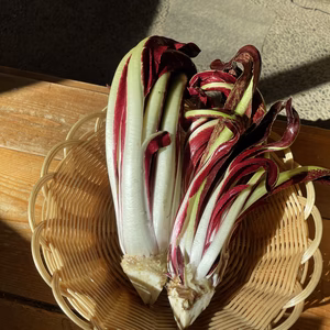 【茨城県産】イタリアの高級野菜　タルティーボ