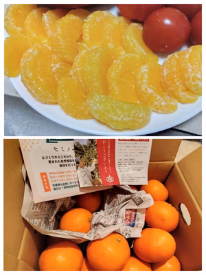 みんなの投稿の画像