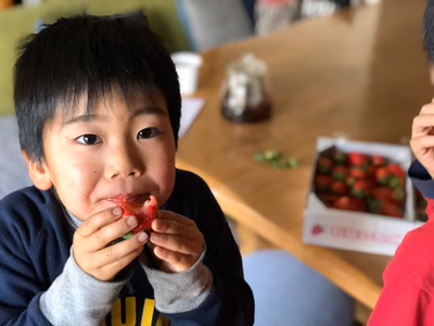 みんなの投稿の画像