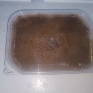 【限定品】オオズワイガニ外子沖漬け  500g