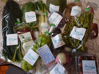 みんなの投稿の画像