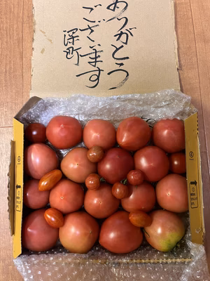 みんなの投稿の画像