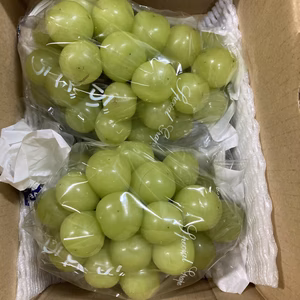 家庭用シャインマスカット1キロ以上（形不揃い小房など）ぶどう