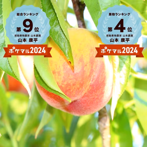 ７月下旬予約【まるでマンゴー！】サンつきあかり桃【糖度１３度以上保証】