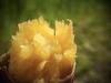 鹿児島から熟成サツマイモ【紅はるか】10kg
