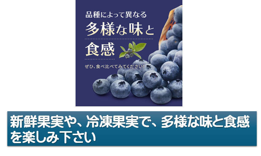 まもなく完売！ 冷凍ブルーベリー 4kg まもなく完売！ 冷凍