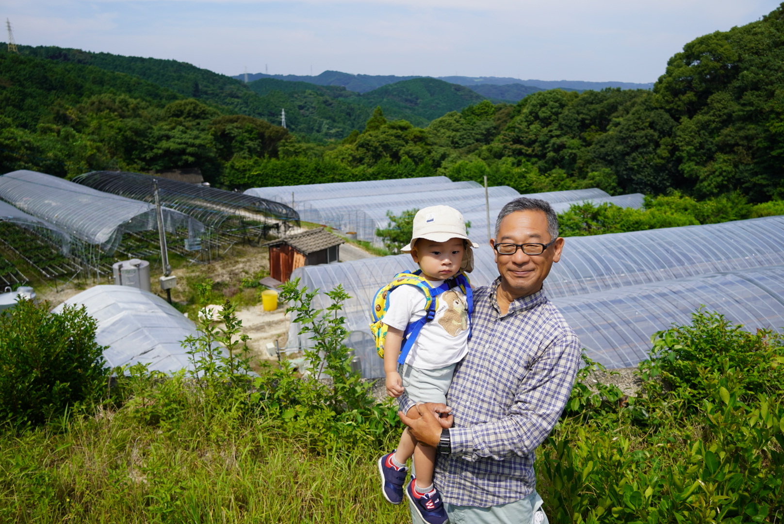 徳島県産　さちのか　1パック約280ｇ×8パック　クール便発送 11610574---22.jpg