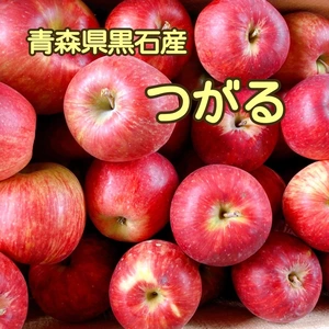 青森県産りんご　つがる　3キロ