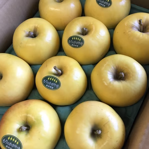 もりのかがやき　家庭用