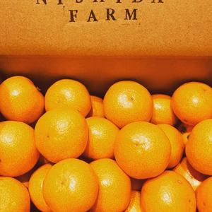 『パクっと』ひとくち。甘味が凝縮！ココロが安らぐいしじみかん！