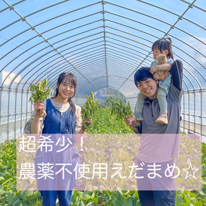 【豊作セール❗️】✨えだまめの王様✨農薬不使用！湯上がり娘【大盛り】