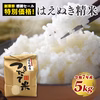 【創業祭・数量限定企画】令和7年産 新米 山形県産 はえぬき精米 5kg