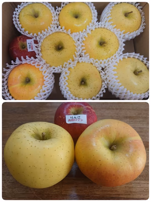 みんなの投稿の画像