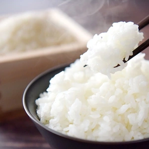 【月１定期】甘くてもっちり！きらほ 無洗米  特別栽培米