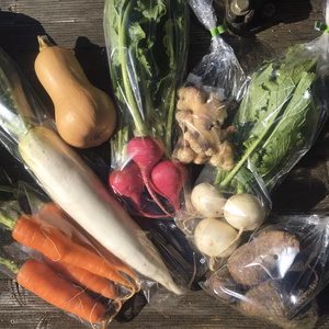 【無農薬】那須高原『おひさまのごほうび』秋野菜セット