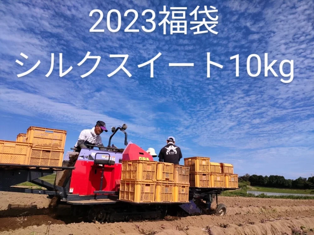 【福袋2023】シルクスイート10kg(特別価格)