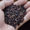 黒米（古代米） 1kg　農薬・化学肥料不使用のスーパーフード
