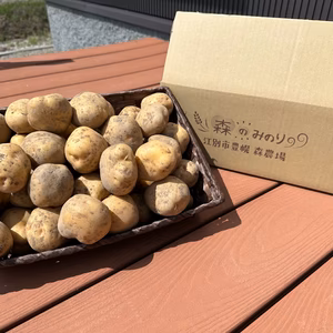 森のみのり 有機じゃがいも『とうや』5kg 10kg 有機JAS認証