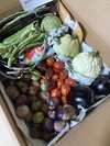 【月1便】こだわり有機農家のオーガニック野菜セット7-8種類