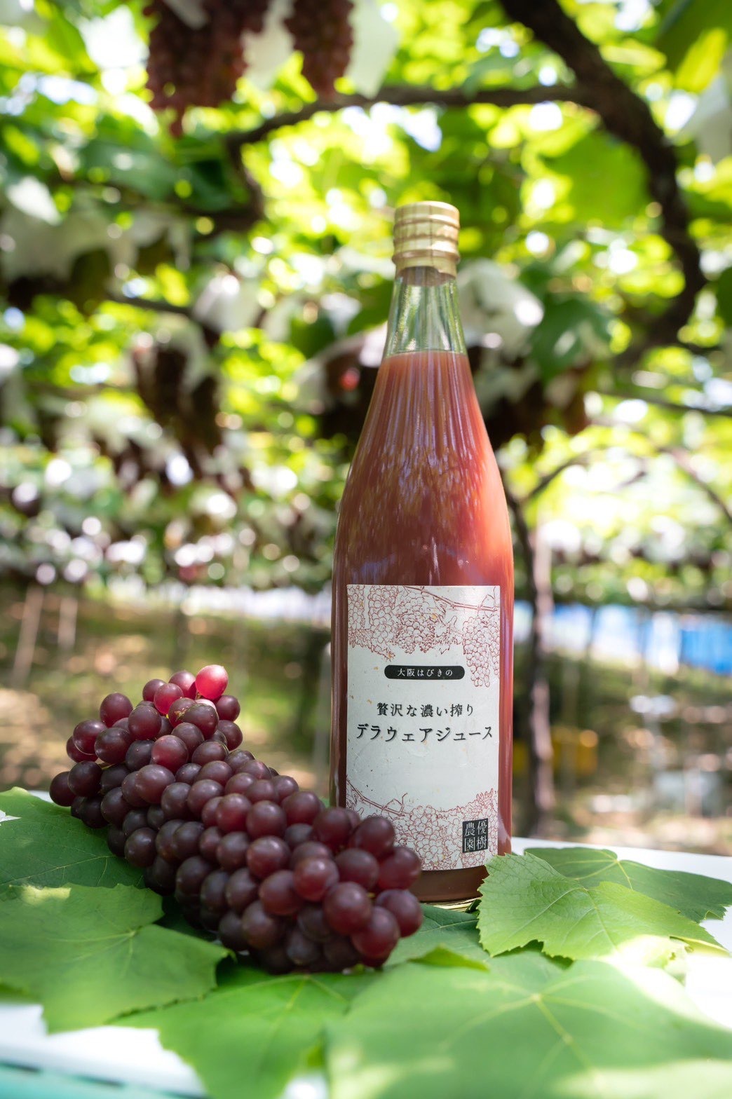 贅沢な濃い搾り デラウェアジュース 720ml 1本 1本720ml