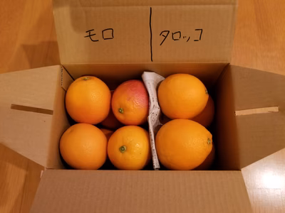 みんなの投稿の画像