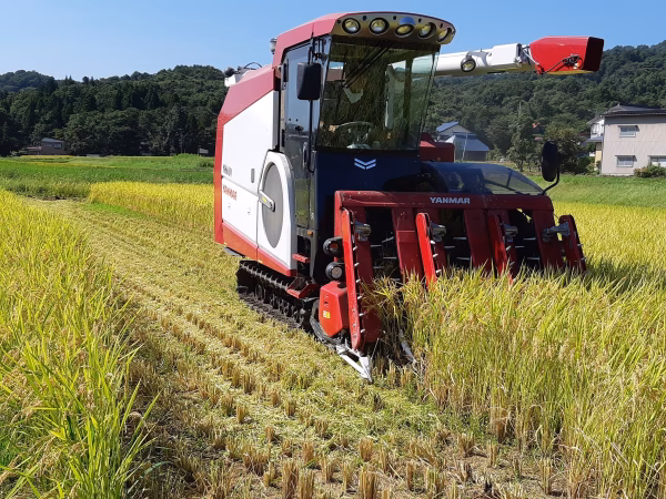 【ご要望多数！5kg×２販売開始】令和6年　妙高産コシヒカリ5kg×2