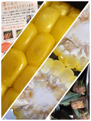 みんなの投稿の画像