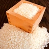 【 令和5年産 】特別栽培米 ⭐︎キヌヒカリ　10kg 