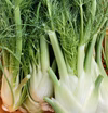 富山県産 フェンネル フィノッキオ 約1kg