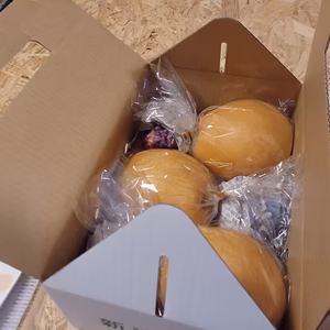 限定１箱　特大玉　新興梨　３玉２Ｋｇ