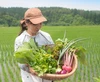今の旬をギュッと！季節の野菜セット